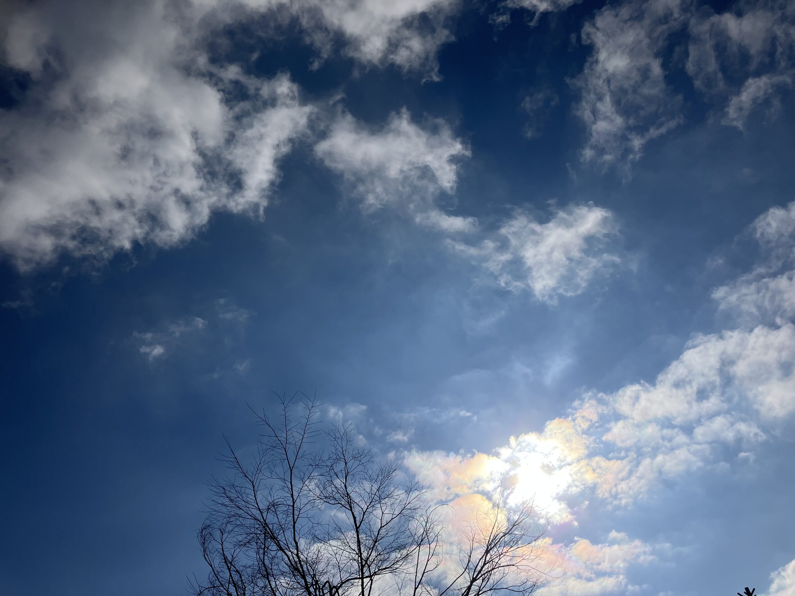 ヨガが教えてくれた“幸せは在る”ということ